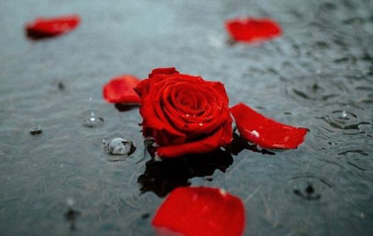 Lessons From Friday the 13th: Birthday Reflections on Love, Fear, and Freedom